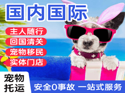 绵阳南郊机场货运国际宠物托运 【国